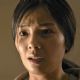 The Foreigner - Tao Liu