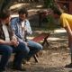 My Name Is Earl (2005)