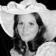 Linda Lovelace Collection