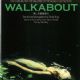 Walkabout