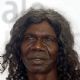 David Gulpilil