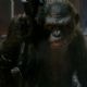Dawn of the Planet of the Apes