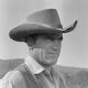 Matt Dillon