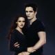 The Twilight Saga: Breaking Dawn - Part 2
