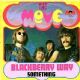 Blackberry Way