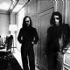 Steely Dan