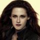 The Twilight Saga: Breaking Dawn - Part 2