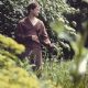Joe Alwyn