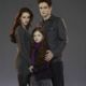The Twilight Saga: Breaking Dawn - Part 2