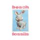 Bunny - Beach Fossils