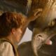 Fantastic Beasts and Where to Find Them (2016)