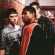 The Faculty
