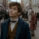 Fantastic Beasts and Where to Find Them (2016)