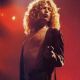 Robert Plant