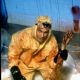 Very Bad Things (1998)