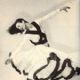 Bella Lewitzky