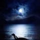 The Water Horse
