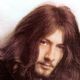 Steve Peregrin Took