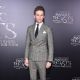Fantastic Beasts and Where to Find Them (2016)