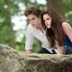 The Twilight Saga: Breaking Dawn - Part 2