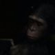 Dawn of the Planet of the Apes