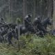 Dawn of the Planet of the Apes