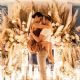 Derek Hough and Hayley Erbert Are Engaged After More Than 6 Years Together: ‘The Beginning of Forever’