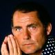 Robert Shaw
