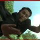 Jet Li in Black Mask