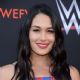 Brie and Nikki Bella – WWE FYC Event in Los Angeles