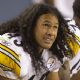 Troy Polamalu