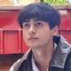 Andres Muhlach