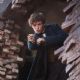 Fantastic Beasts and Where to Find Them (2016)
