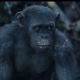 Dawn of the Planet of the Apes