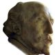 Edmond Picard