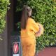 Camila Cabello – In orange sweats out in Santa Monica