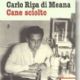 Carlo Di Meana