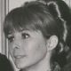 Shirlee Fonda
