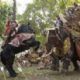 In a moment right out of myth, Alexander (Colin Farrell) on Bucephalas goes head-to-head with the Indian King on his war elephant.