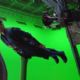 Avengers: Infinity War Behind the Scenes
