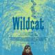 Wildcat