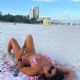Claudia Romani – In bikini posing in Callista Couture on Miami Beach