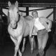 Doris Day