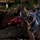 Mad Dogs (2011)