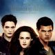The Twilight Saga: Breaking Dawn - Part 2