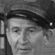 Doodles Weaver