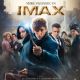 Fantastic Beasts and Where to Find Them (2016)