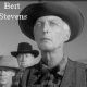 Bert Stevens