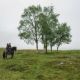 Outlander » Season 1 » Lallybroch (2014)