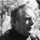 David Wevill